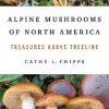 Alpine Mushrooms of North America: Treasures Above Treeline