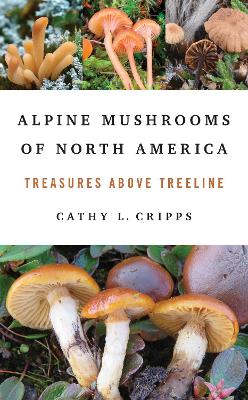 Alpine Mushrooms of North America: Treasures Above Treeline