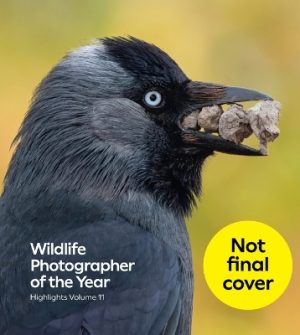 Wildlife Photographer of the Year: Highlights volume 11
