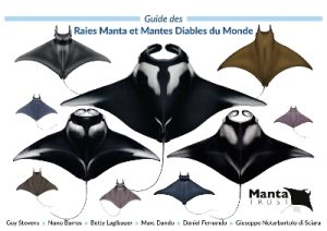 Guide des Raies Manta et Mantes Diables du Monde