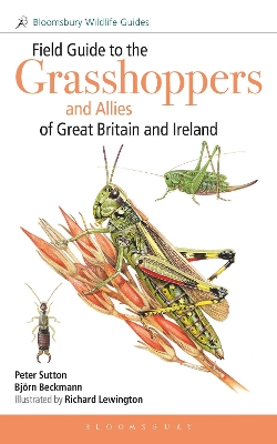 Field Guide to the Grasshoppers and Allies of Great Britain and Ireland: Grasshoppers, Crickets, Earwigs, Cockroaches, Mantids and Stick-insects