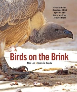 Birds on the Brink: South Africa’s threatened birds and those working to save them 