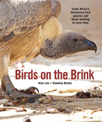 Birds on the Brink: South Africa’s threatened birds and those working to save them