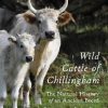 Wild Cattle of Chillingham: The Natural History of an Ancient Breed