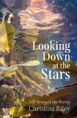 Looking Down at the Stars: Life beneath the waves