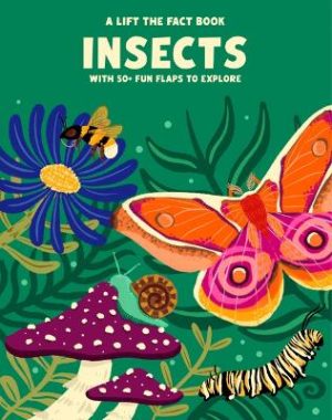 Lift the Fact: Insects