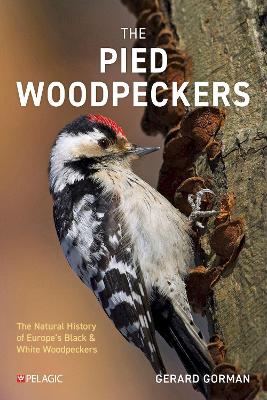 The Pied Woodpeckers: The Natural History of Europe’s Black & White Woodpeckers
