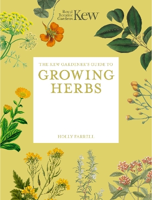 The Kew Gardener's Guide to Growing Herbs: Paperback reissue: Volume 2