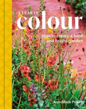 A Year of Colour: How to create a bold and bright garden