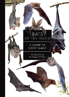 Bats of the World: A Guide to Every Family