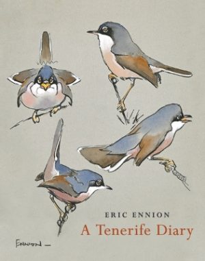 A A Tenerife Diary