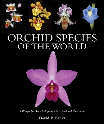 Orchid Species of the World: 3,333 species from 343 genera described and illustrated