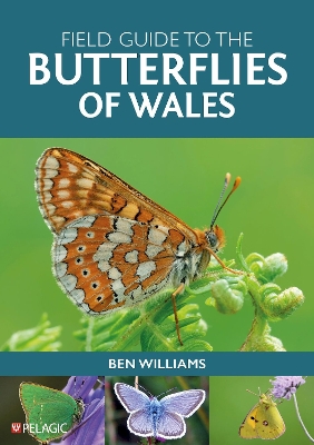 Field Guide to the Butterflies of Wales