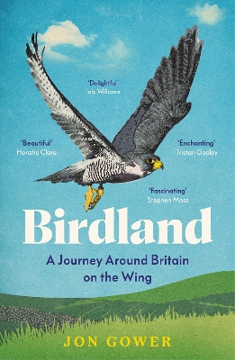 Birdland: A Journey Around Britain on the Wing