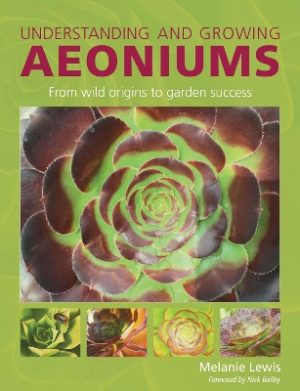 Understanding and Growing Aeoniums: From wild origins to garden success