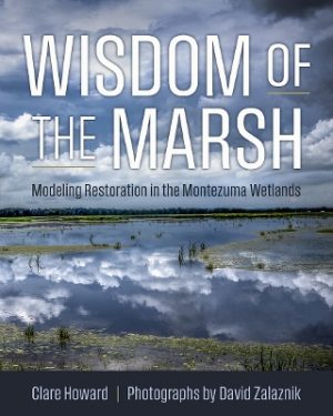 Wisdom of the Marsh: Modeling Restoration in the Montezuma Wetlands