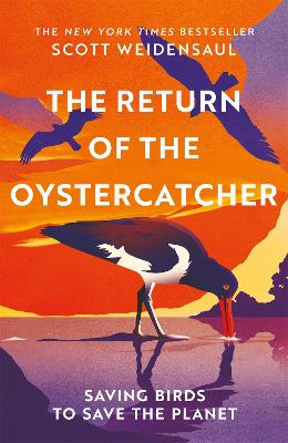 Return of the Oystercatcher, The: Saving Birds to Save the Planet