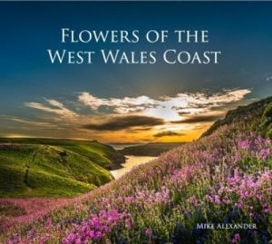 Flowers of the West Wales Coast
