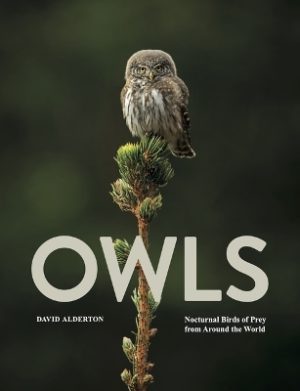 Owls: Nocturnal Birds of Prey from Around the World
