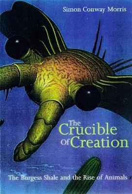 The Crucible of Creation