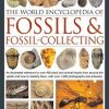 World Encyclopedia of Fossils and Fossil Collecting