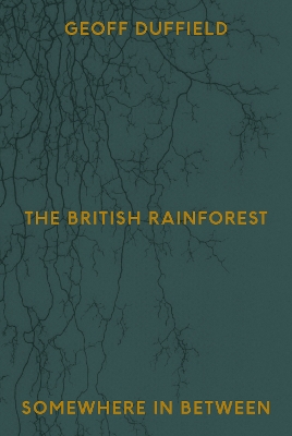 The British Rainforest: Somewhere In Between