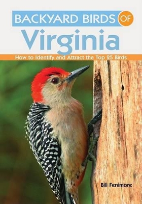 Backyard Birds of Virginia: How to Identify and Attract the Top 25 Birds