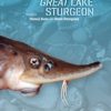 The Great Lake Sturgeon