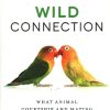 Wild Connection: What Animal Courtship and Mating Tell Us about Human Relationships