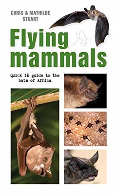 Flying Mammals: Quick ID Guide to the Bats of Africa