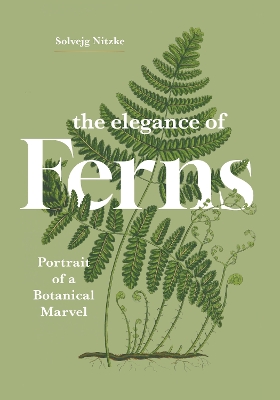 The Elegance of Ferns: Portrait of a Botanical Marvel