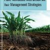 Plant-Nematode Interactions and Their Management Strategies