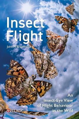 Insect Flight: An Insect-Eye View of Flight Behaviour in the Wild