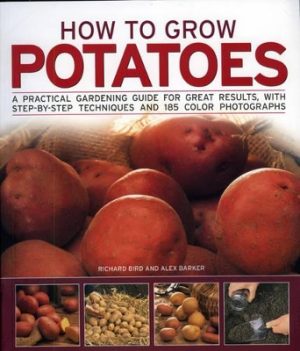 How to Grow Potatoes