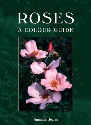 Roses: A Colour Guide