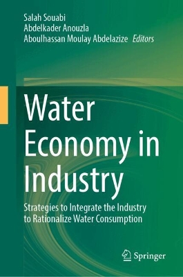 Water Economy in Industry: Strategies to Integrate the Industry to Rationalize Water Consumption