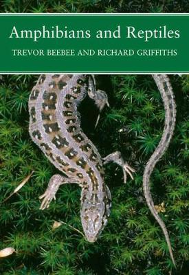 Amphibians and Reptiles: A Natural History of the British Herpetofauna