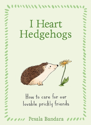 I Heart Hedgehogs: How to care for our lovable prickly friends