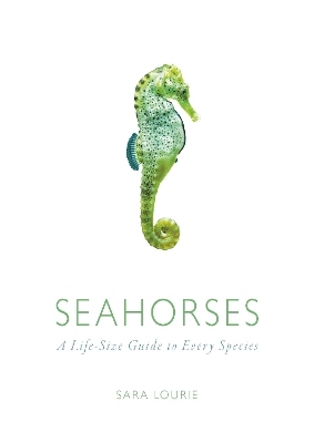 Seahorses: A Life-Size Guide to Every Species