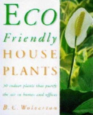 Eco-friendly Houseplants: 50 Indoor Plants That Purify the Air
