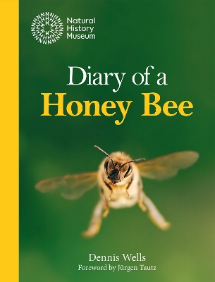 Diary of a Honey Bee