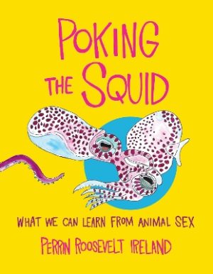 Poking the Squid: What We Can Learn from Animal Sex