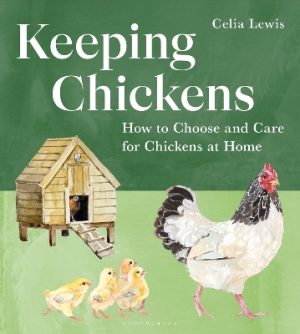 Keeping Chickens: How to Choose and Care for Chickens at Home