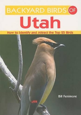 Backyard Birds of Utah