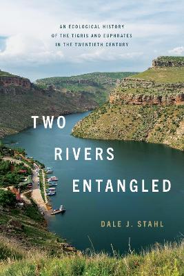 Two Rivers Entangled: An Ecological History of the Tigris and Euphrates in the Twentieth Century