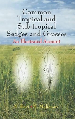 Common Tropical and Sub-tropical Sedges and Grasses: An Illustrated Account