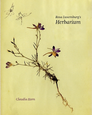 Rosa Luxemburg's Herbarium