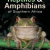 Reptiles and Amphibians of Southern Africa