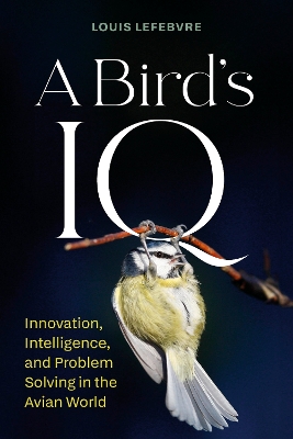 A Bird's IQ: Innovation, Learning, and Problem Solving in the Avian World