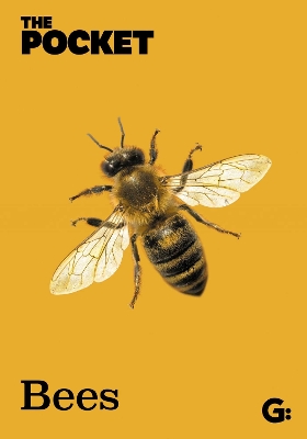 The Pocket Bees